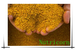 Corn Gluten Meal for Fish Feed