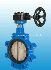 Stainless Steel Disc Soft Sealed Casting Body Lug Butterfly Valve