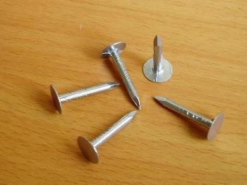 Electro Galvanized/Hot Dipped Big Head Roofing Clout Nails