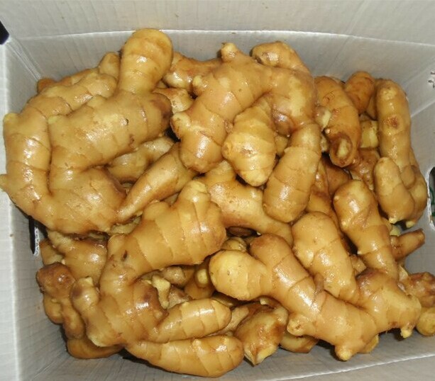 Chinese Fresh Ginger 150g 200g, 250g