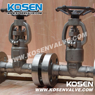 Forged Steel Pressure Sealed Gate Valves (PZ41)