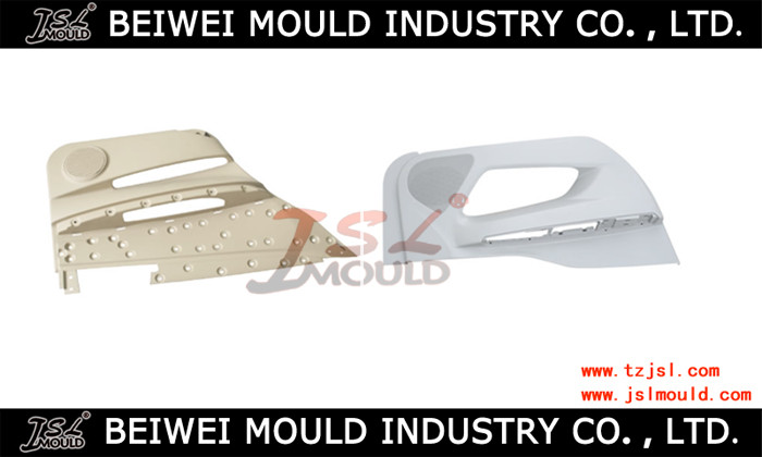 Plastic Injection Auto Door Panel Mould