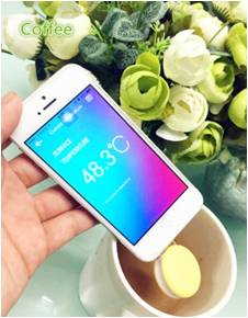 China Manufacturer Durable Smart Thermometer