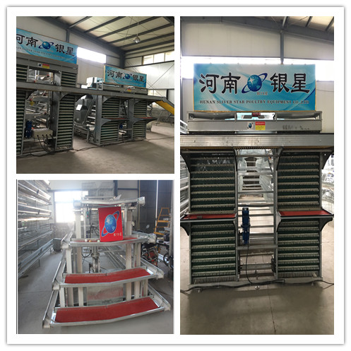 Four Tiers Full Automatic Layer Cage