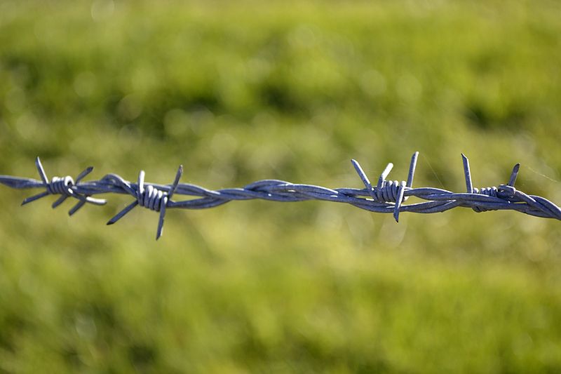 Hot-Dipped Galvanized Barbed Wire for Fence