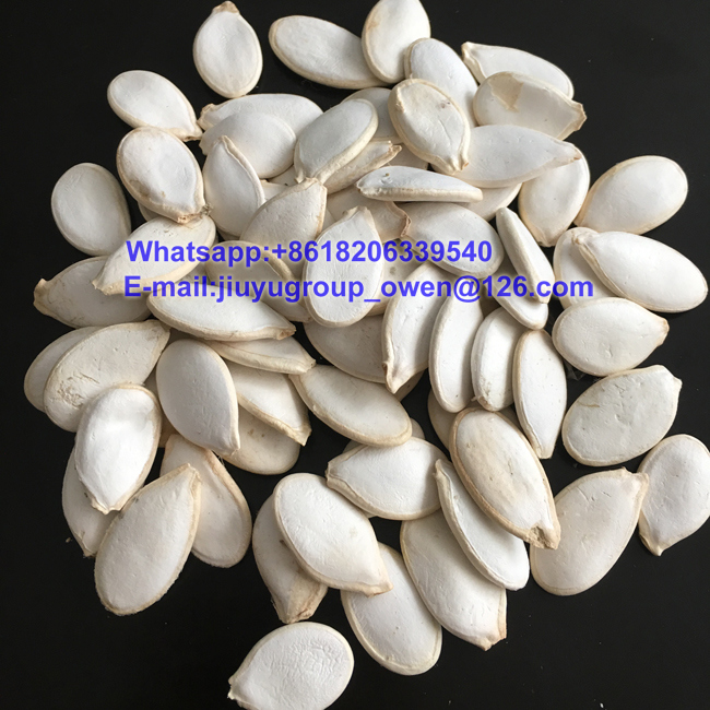 HPS Edible Shine Skin Pumpkin Seeds