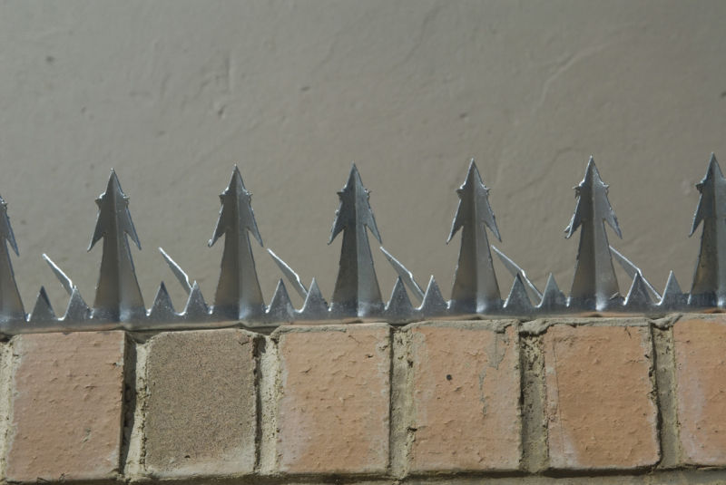 Galvanized Razor Wall Spike /Security Wall Spike for Protecting