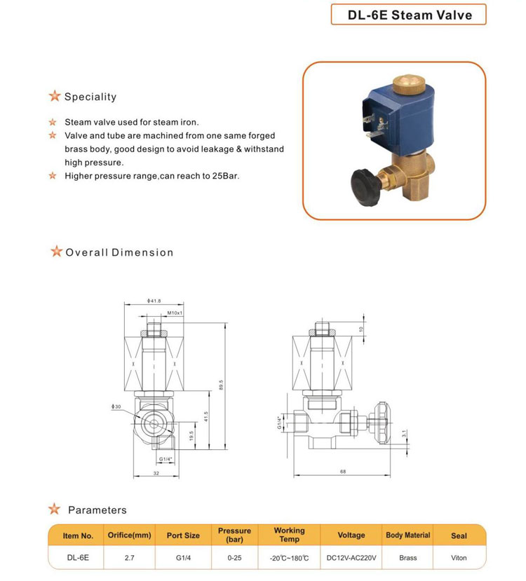 Solenoid Steam Valve for Ironing Machine (DL-6E)