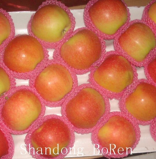 2015 Fresh Red Star Apple