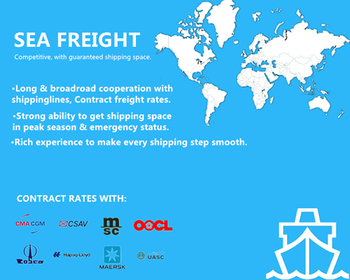 China Ocean Freight Services From Shanghai/Guangzhou/Shenzhen/Ningbo/Xiamen to Belgium