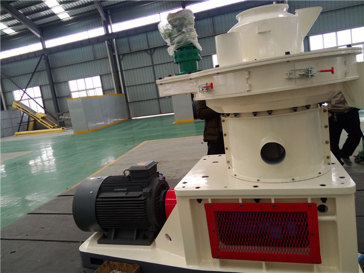 Agro Machines Wood Pellet Mill Made in China by Hmbt