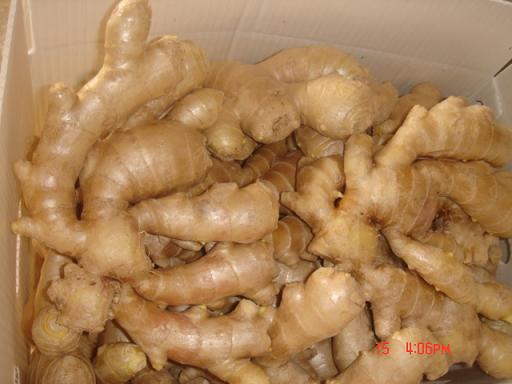 Golden Supplier in China/Fresh Ginger/2015 New Crop/Air-Dried Ginger