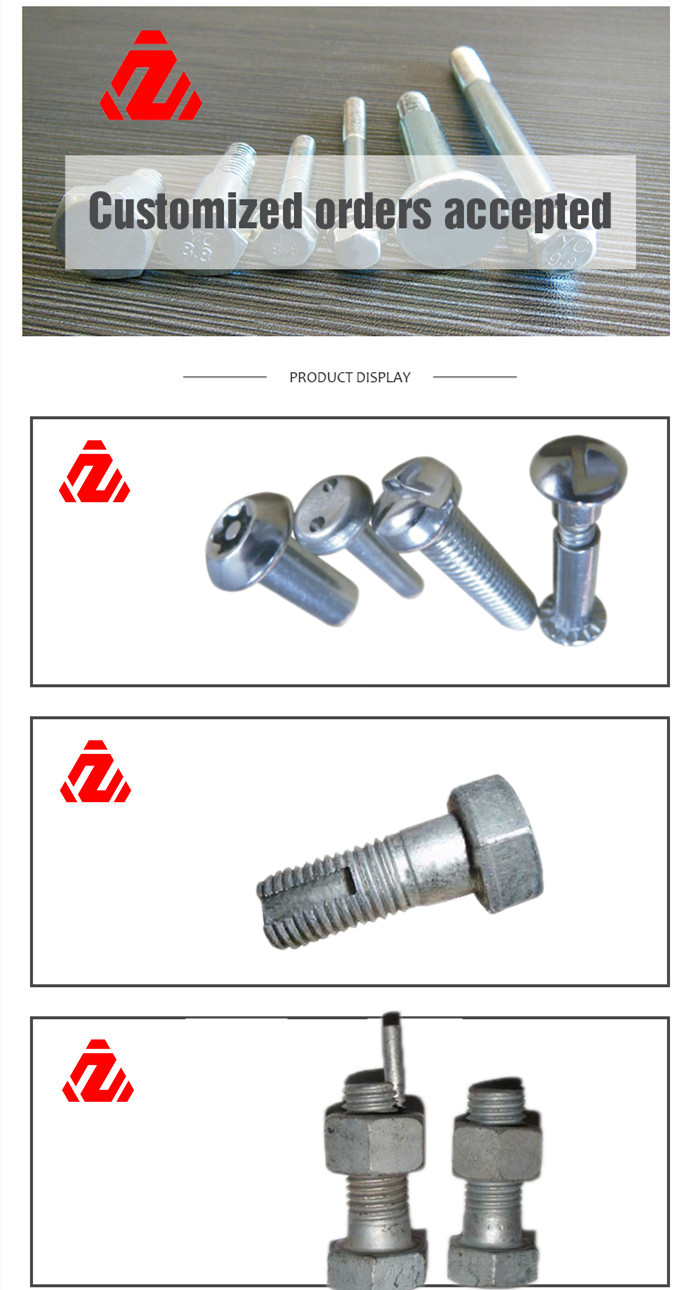 Anti-Theft Bolts