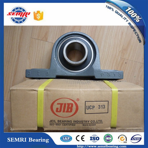 Made in Korea Original Jib Pillow Block Bearing (Ucp313)