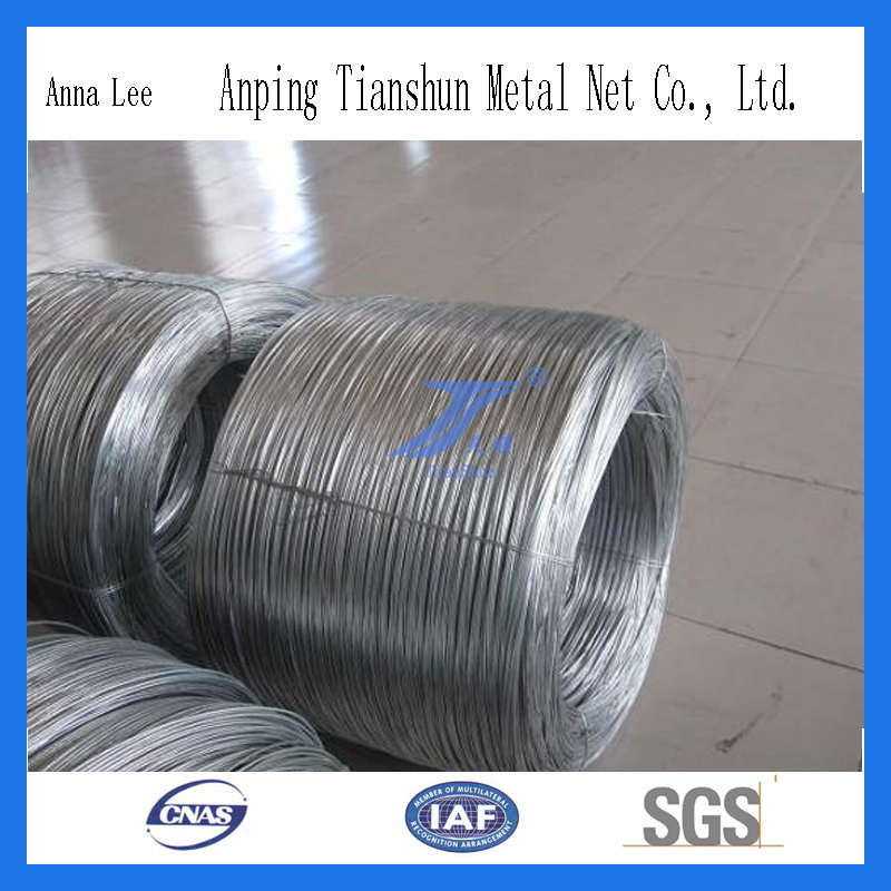 High Quality Galvanized (GI) Wire/Binding Wire (factory)