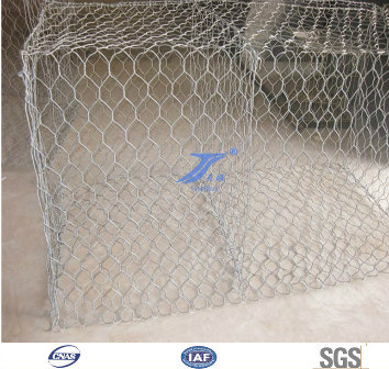 High-Quality Gabion Box/Stone Cage Net