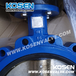 DIN Cast Iron Gear Box Butterfly Valve (D341X)