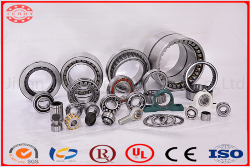 The Low Noice Cylindrical Roller Bearing (N308E)