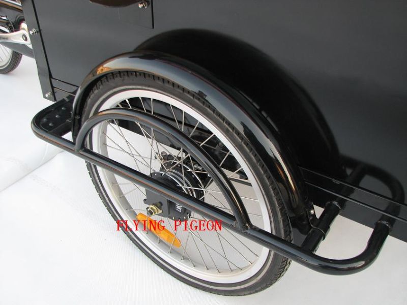 Big Load Capacity Electric Rickshaw Tricycle (FP-ERT003)