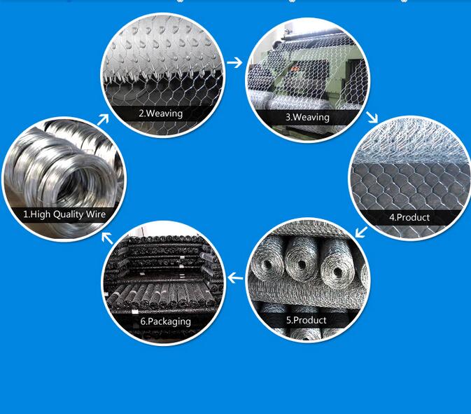 2015 Hot Sale Hexagonal Wire Mesh/Chicken Mesh