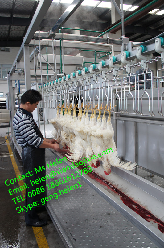 300-500/H Chicken Slaughtering Machine/ Small Chicken Slaughtering Line