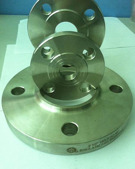 Stainless Steel Weld Neck Flanges