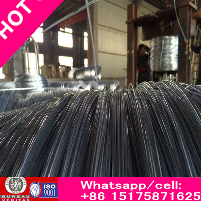 3.05 mm Galvanized Steel Wire for ACSR/ Zinc Coated Steel Wire/High Carbon Tensile Steel/