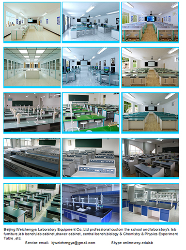 Blue Fume Hood Laboratory Equipment Made by Beijing Weichengya