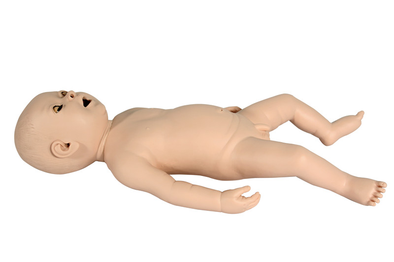 Pediatric Neonatal Nursing Care Skill Training Medical Model