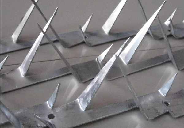 Security Wall Spike / Fencing Razor Spikes