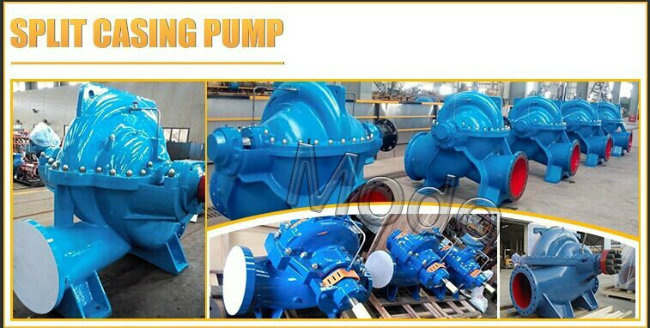 Removable Diesel Engine Double Suction Water Pump