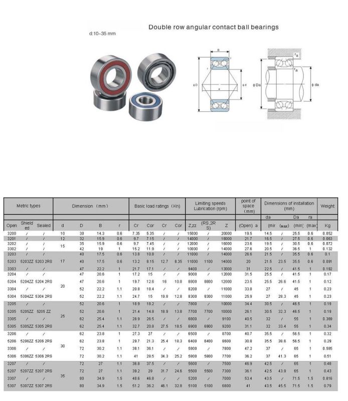 Double Row Bearing