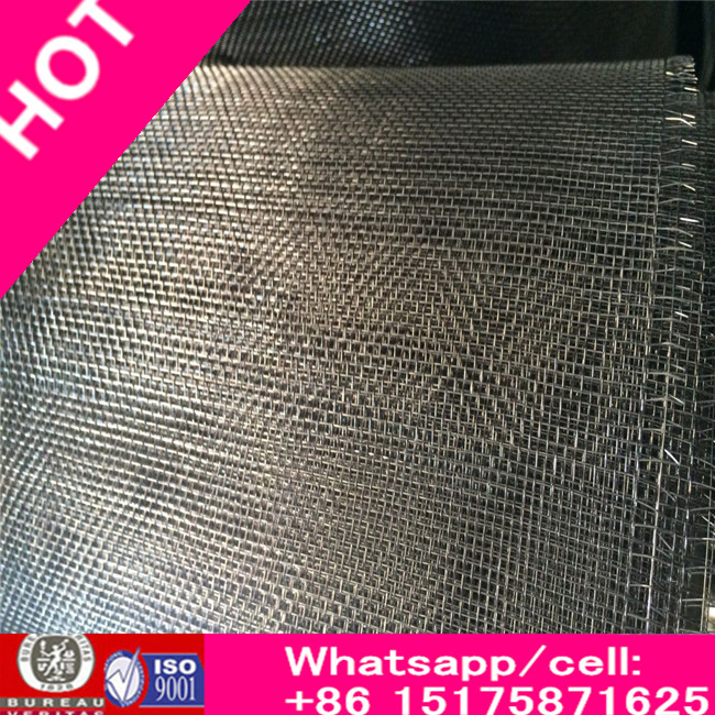 High Quality & Low Price Stainless Steel Wiremesh/Crimped Wiremesh Factory China