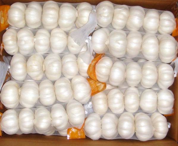 Small Mesh Bag Packing Pure White Garlic