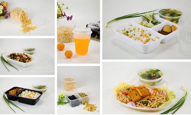 Disposable 2 Compartmnet Microwave Plastic Food Container for Food Take Away