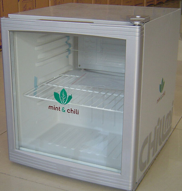 Mini Small Display Fridge Beer Bottle Display Refrigerator