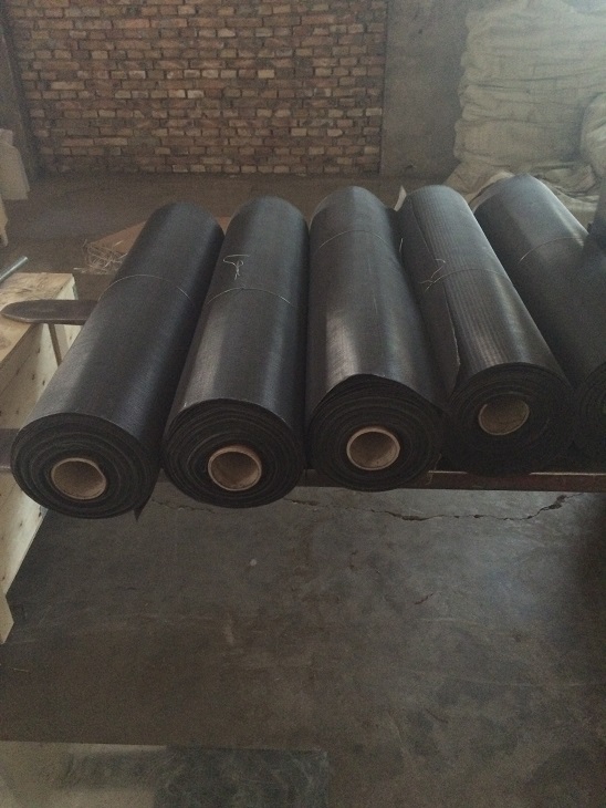 12X64 Black Wire Cloth