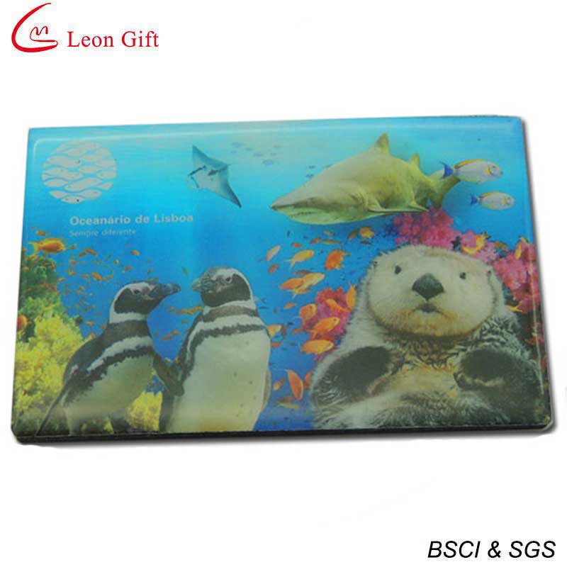 Wholesale Promotion Gift Giraffe PVC Magnet (LM1781)