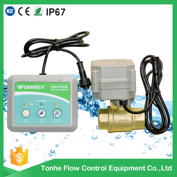 2 Way Water Leak Alarm Electric Control Brass Valve for Water Leakage Detection