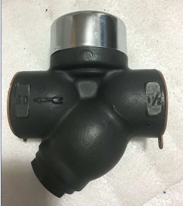 Thermodynamic Steam Trap CS19h