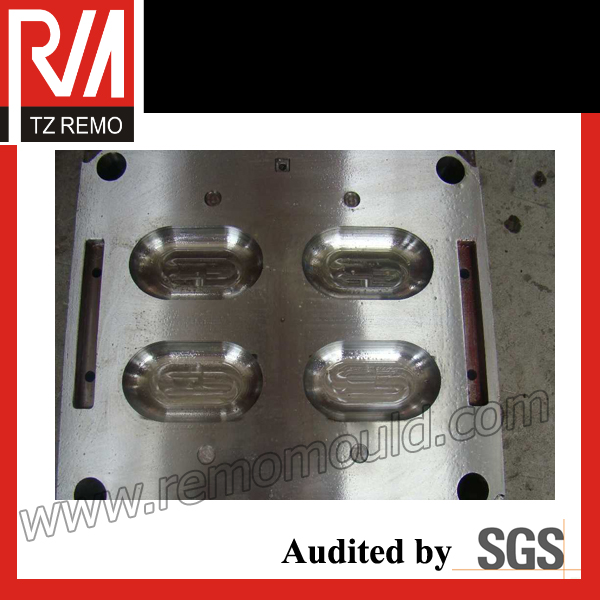 Plastic Soap Case Mould (TZRM-SCM15512)