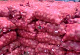 Supply Big Quantity Fresh Onion in China