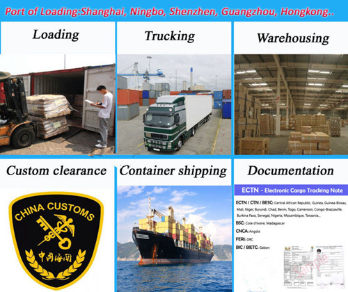 Sea Freight Ocean Shipping Forwarder From China to Felixstowe, United Kingdom UK