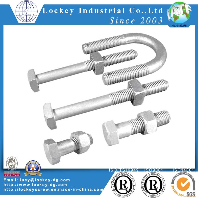 Construction Hex Bolt Structure Hex Bolt Building Bolt