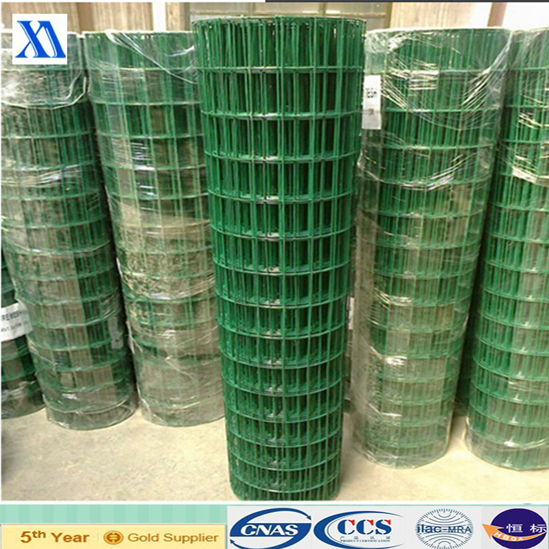 PVC Coated and Galvanzied Welded Wire Mesh (XA-417)