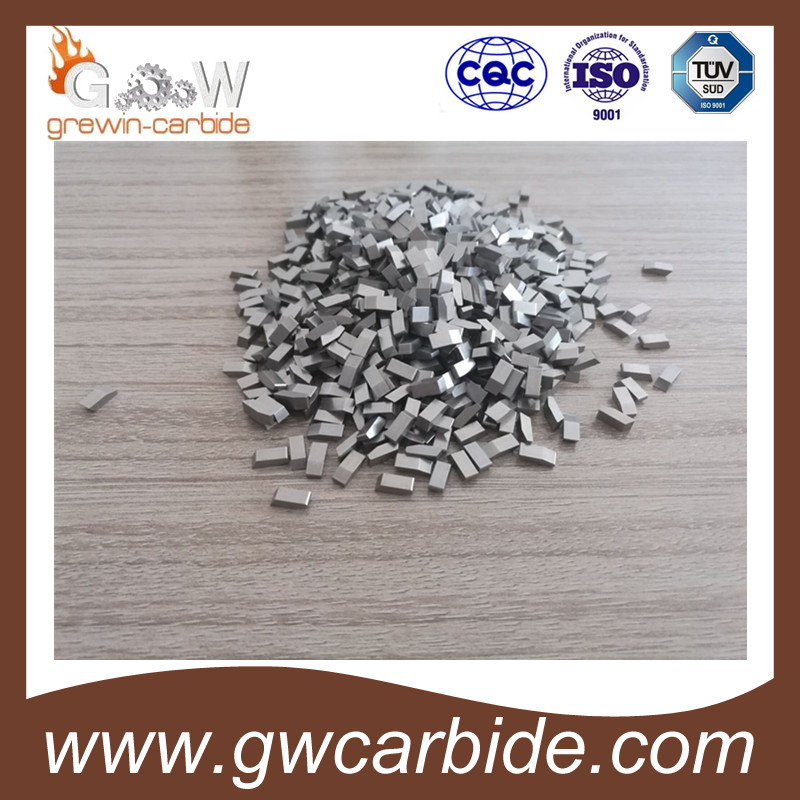 Tungsten Carbide Saw Tips with High Quality and Various Sizes
