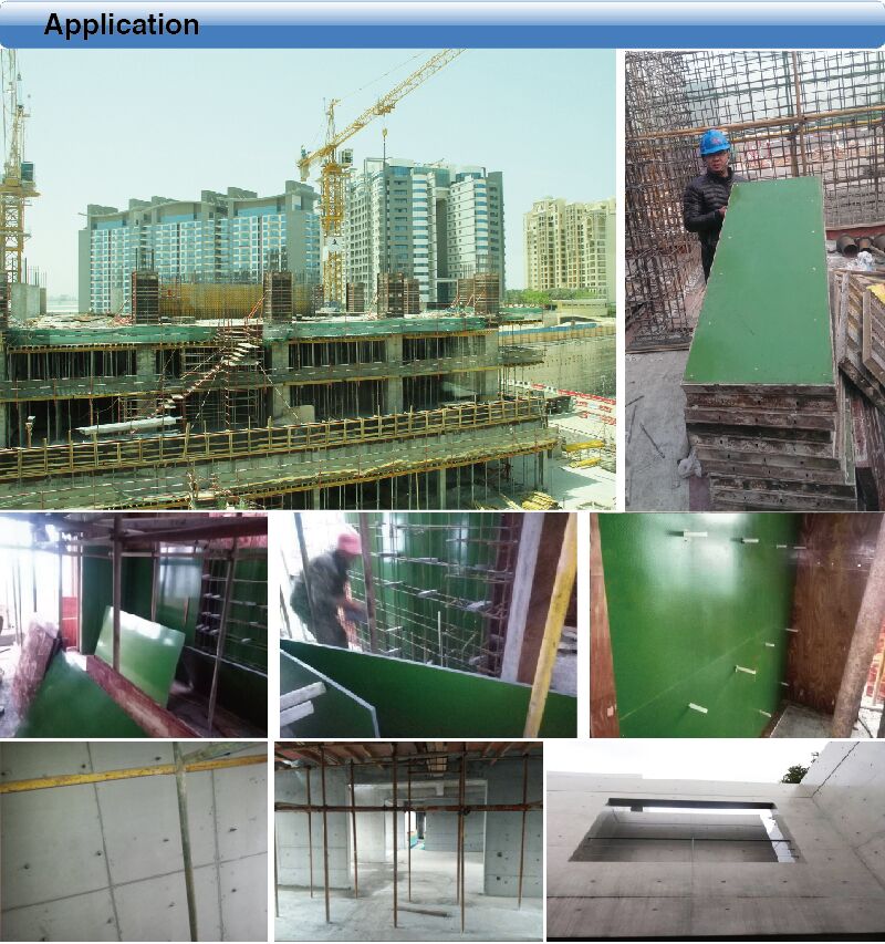 PP Plastic Faced Plywood for Construction