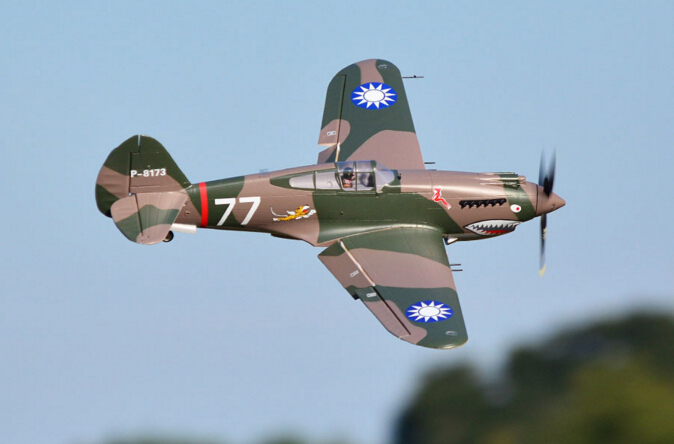 World's Largest 12 CH P40 Warhawk RC Plane for Sale