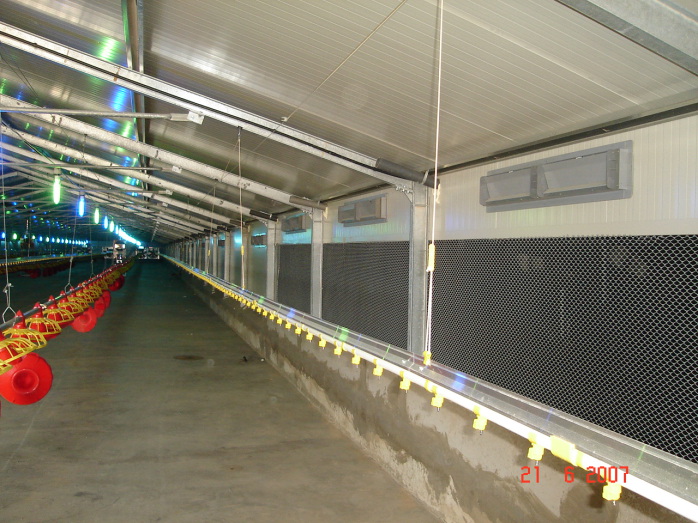 Prefab Light Steel Structure Poultry House (SPT001)