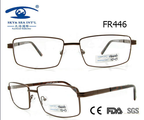 New Design Classical Style Man Beautiful Metal Glasses Frame (FR446)